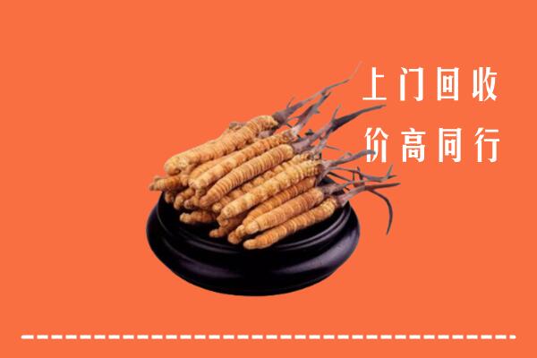 高价求购：长海县回收散虫草
