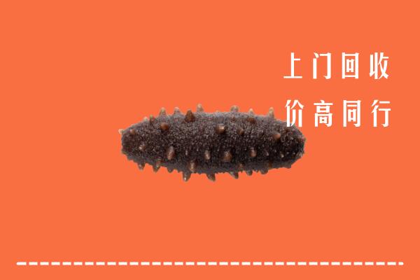 高价求购：长海县回收海参