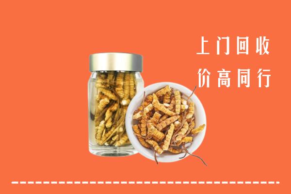 长海县回收冬虫夏草